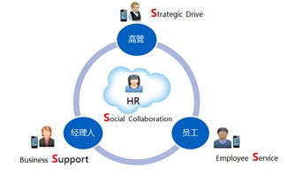 金蝶s-hr数据库结构