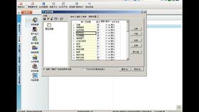 专业版,金蝶,设置,软件