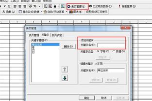 金蝶专业版如何设立站点