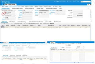 金蝶星空典型客户
