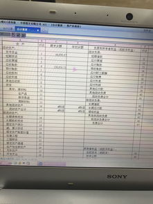 金蝶账套如何复制报表