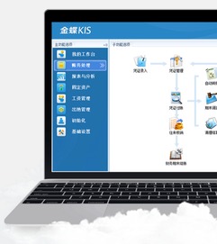 金蝶,产品,kisk3eas