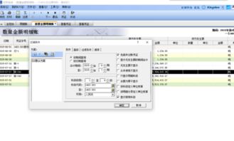 金蝶进销存录入怎么查看明细