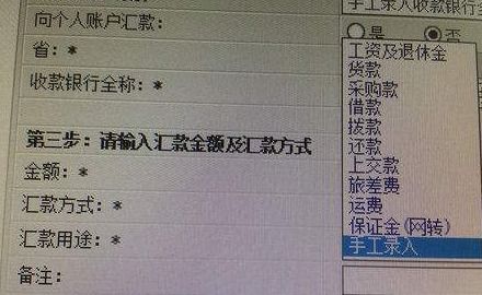 公司购买金蝶软件计入什么科目