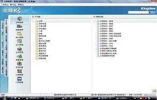 金蝶k3实验结论和体会,金蝶k3实验结论和体会300字,金蝶k3会计科目设置