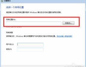 金蝶,备份,保留