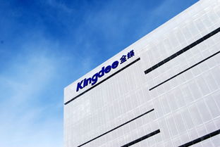 韩磊有金蝶股份