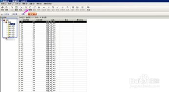 物料,金蝶,仓位