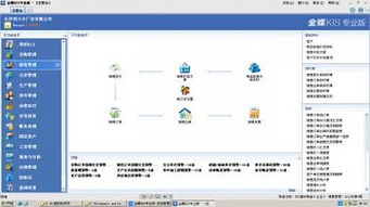 金蝶,审批,流程,付款