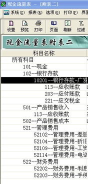 金蝶现金流量附表项目快速编制