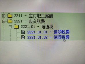 金蝶科目代码长度怎么修改