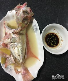 大眼金蝶鱼吃什么