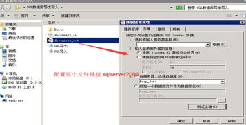 导出,导入,金蝶,数据库