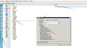 金蝶核算项目怎么显示备注