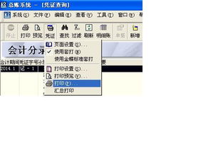 金蝶序时帐是凭证查询