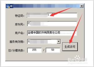 文件类型,金蝶,不匹配,显示