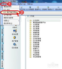 标准版,金蝶,生产,领料单
