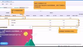 不全,金蝶,选项,显示