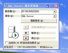 标准版,金蝶,财务,数据