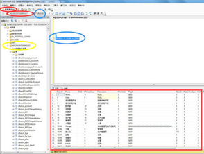 金蝶k3数据库表名在那找
