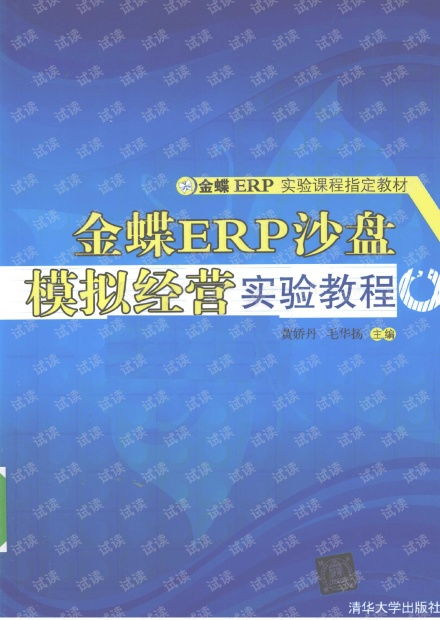 沙盘,金蝶,试验,心得