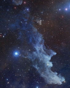 金蝶,星空,904.6,7.2