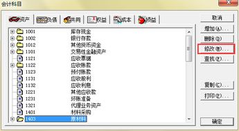 记账,核算,金蝶,辅助
