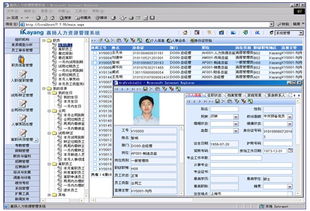 人力资源管理,金蝶,实训,报告