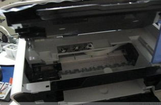 打印机金蝶卡纸拿不出来怎么办