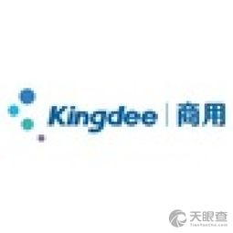 深圳金蝶微軟开发