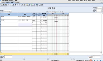 金蝶为什么输入外币显示在借方
