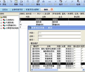 金蝶物料特征件