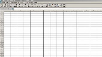 金蝶,负债表,acct