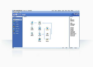 金蝶进销存是按什么确认收入