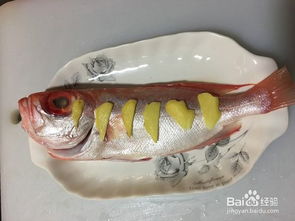 大眼,吃什么,金蝶