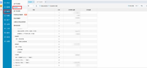 金蝶KIS云专业版,金蝶KIS云专业版凭证打印设置参数,金蝶KIS云专业版导出表格