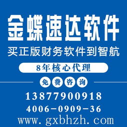 南宁做金蝶代理的公司