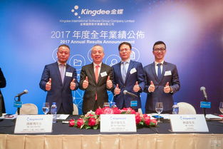 金蝶,股份,韩磊