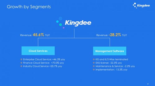 金蝶,哪些方面,未来,发展