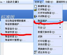 金蝶标准版账套转化专业版