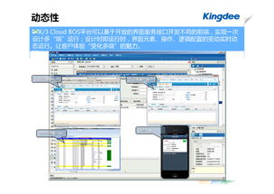 金蝶k3财务软件各模块功能1000字,金蝶k3财务软件的基本操作,金蝶k3财务软件操作步骤