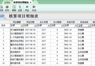 金蝶核算项目明细账页眉页脚