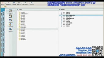 金蝶软件是否可以支持同股不同权