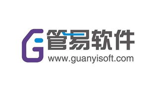 金蝶,投资者,国际