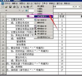 金蝶kis记账王V11.0利润表公式