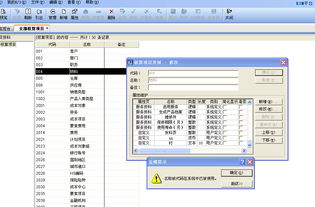 程序员,金蝶,项目