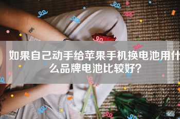 如果自己动手给苹果手机换电池用什么品牌电池比较好？