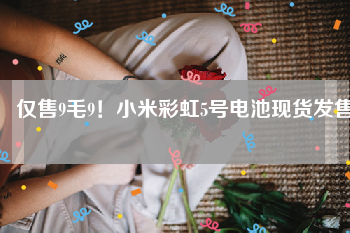 仅售9毛9！小米彩虹5号电池现货发售