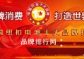 “2018年度中国纽扣电池十大品牌总评榜”荣耀揭晓