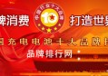 “2018年度中国充电电池十大品牌总评榜”荣耀揭晓